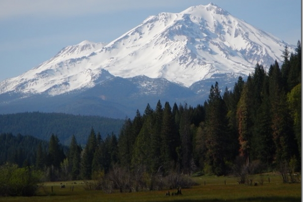 Tour Mount Shasta - Day Tours Since 1994